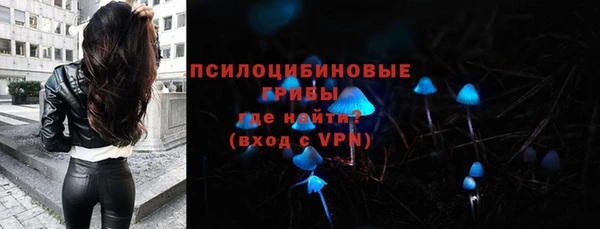 МДМА Бородино