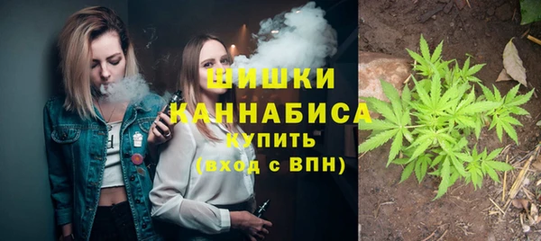 ПСИЛОЦИБИНОВЫЕ ГРИБЫ Богородицк