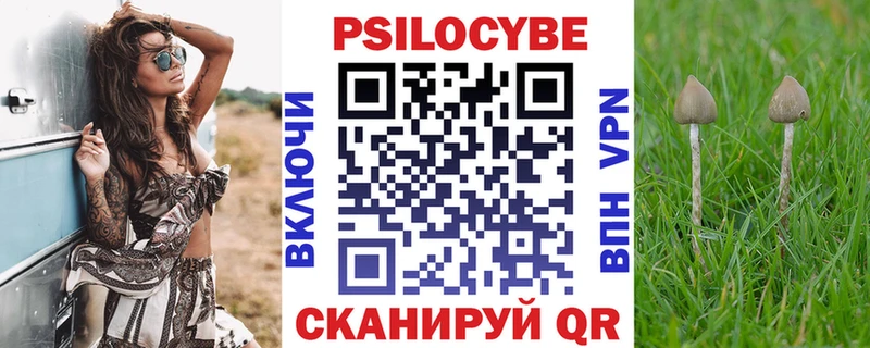 Псилоцибиновые грибы GOLDEN TEACHER  дарнет шоп  Будённовск 